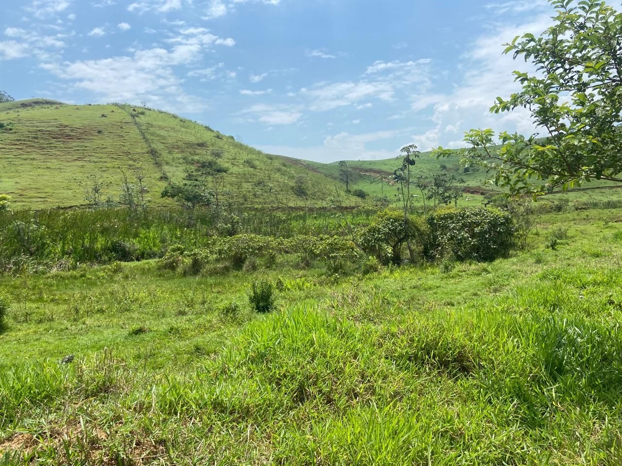 Fazenda de 174 ha em Lorena, SP