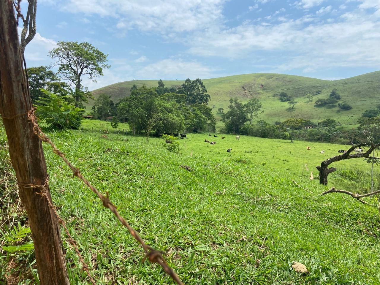 Fazenda de 174 ha em Lorena, SP