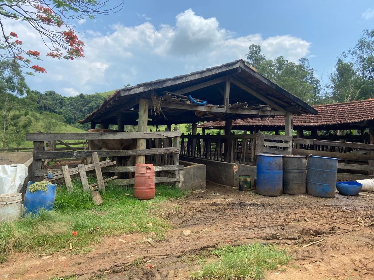 Fazenda de 174 ha em Lorena, SP