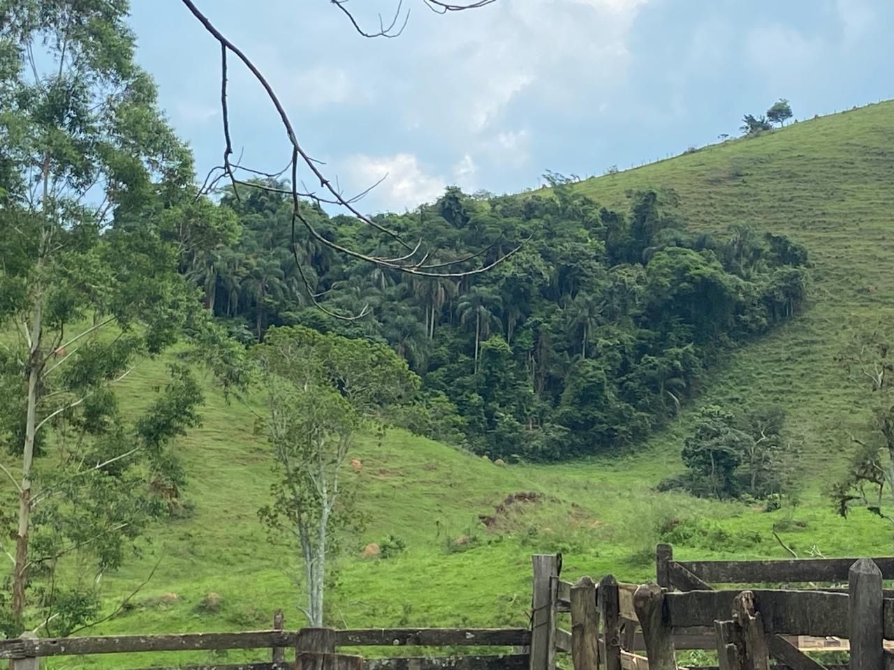 Fazenda de 174 ha em Lorena, SP