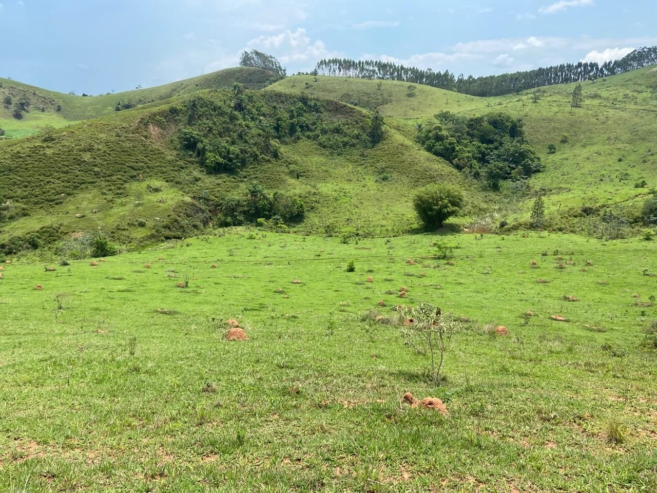 Fazenda de 174 ha em Lorena, SP