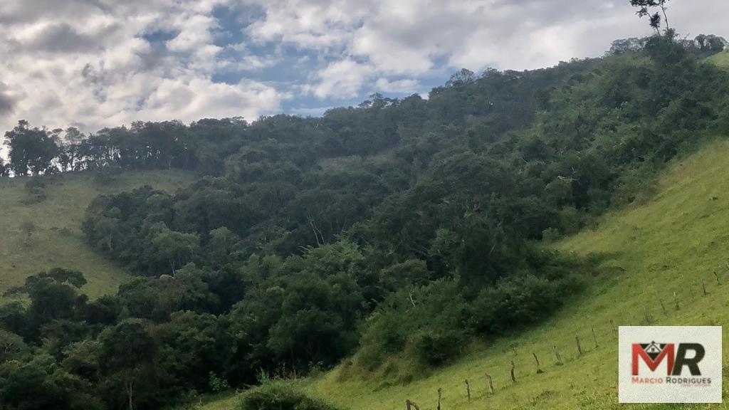 Terreno de 55 ha em Cachoeira de Minas, MG