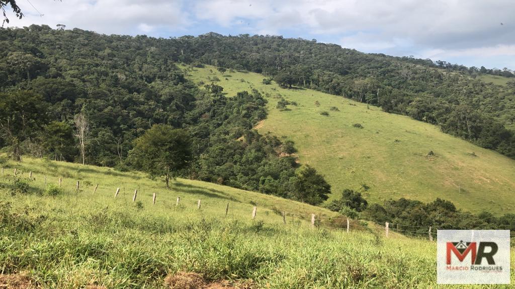 Terreno de 55 ha em Cachoeira de Minas, MG