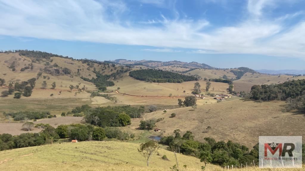 Terreno de 55 ha em Cachoeira de Minas, MG