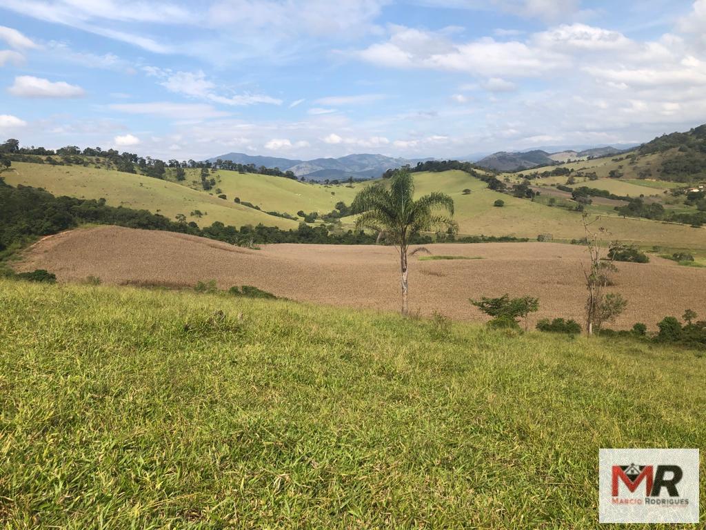 Terreno de 55 ha em Cachoeira de Minas, MG