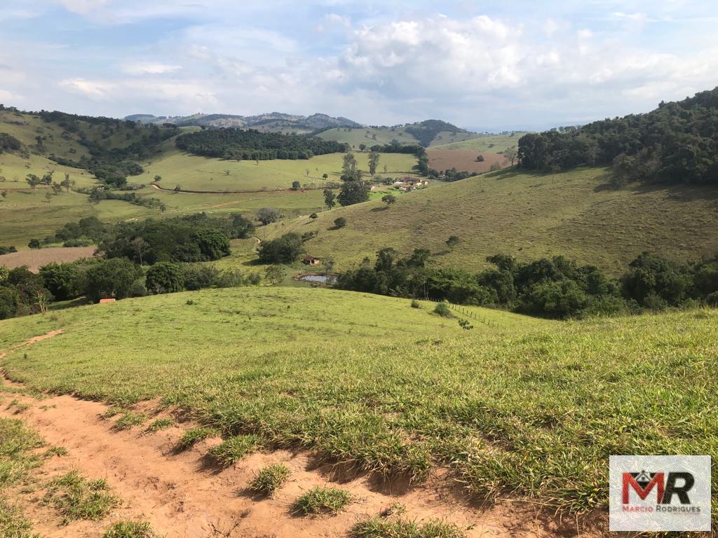 Terreno de 55 ha em Cachoeira de Minas, MG