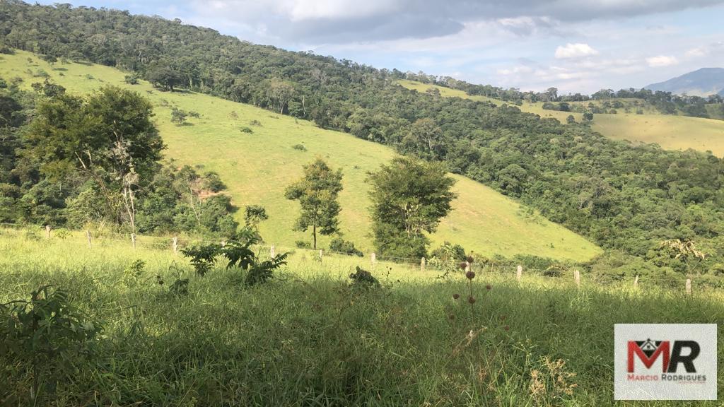 Terreno de 55 ha em Cachoeira de Minas, MG