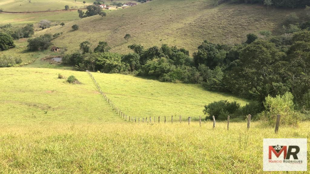 Terreno de 55 ha em Cachoeira de Minas, MG