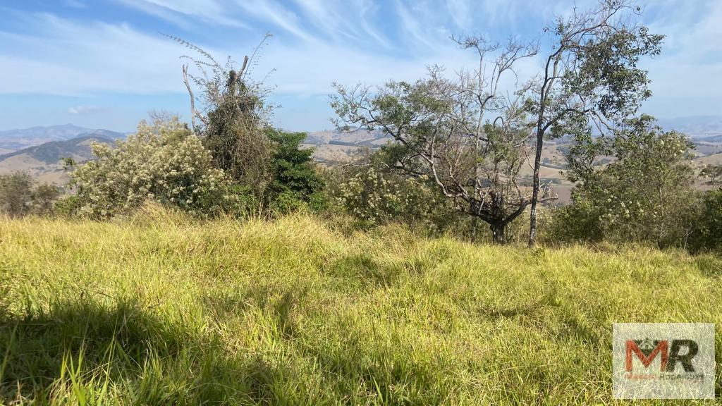 Terreno de 55 ha em Cachoeira de Minas, MG