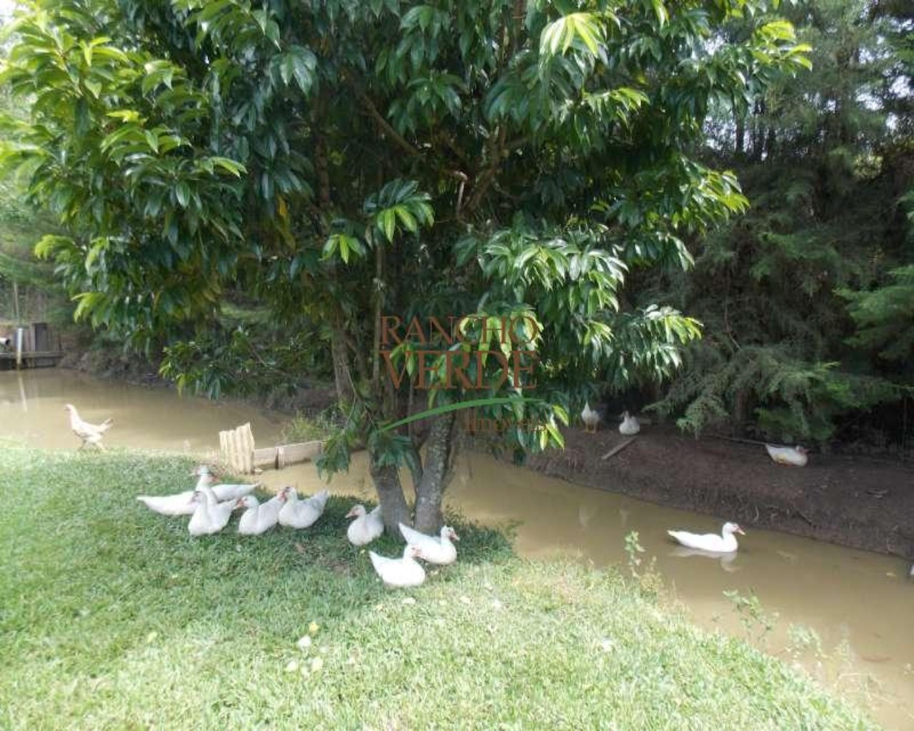 Chácara de 1 ha em Paraibuna, SP