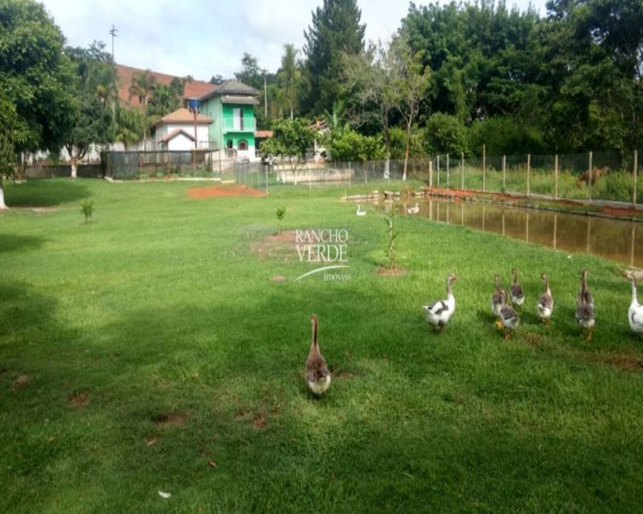 Chácara de 1 ha em Paraibuna, SP