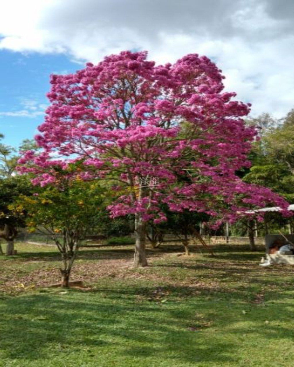 Chácara de 1 ha em Paraibuna, SP