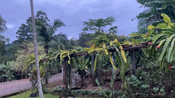 Chácara de 1.000 m² em Osório, RS