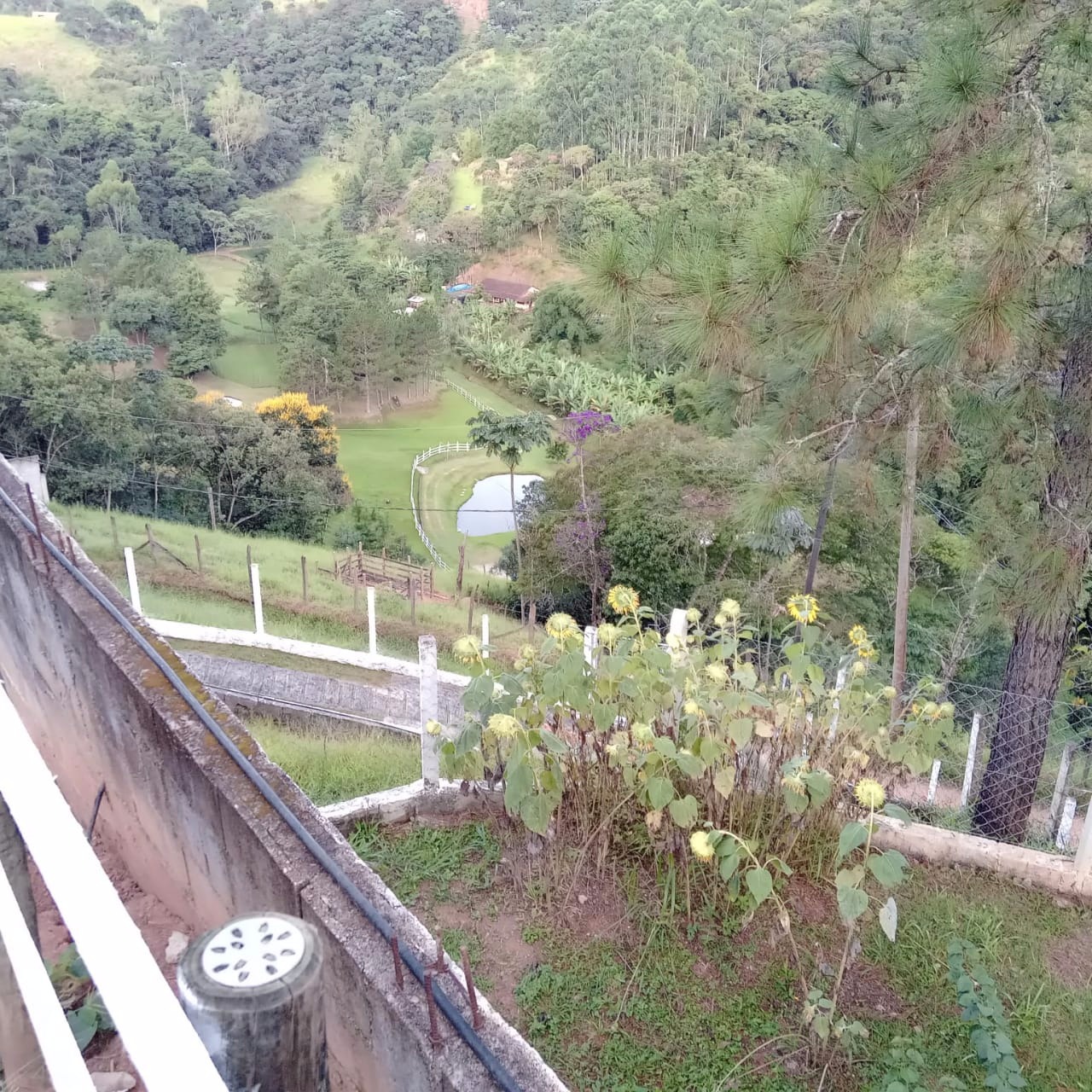 Sítio de 2 ha em Monteiro Lobato, SP