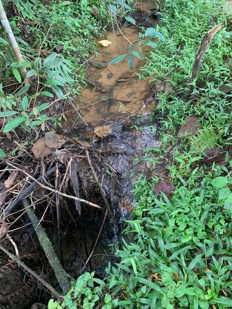 Sítio de 7 ha em São José dos Campos, SP