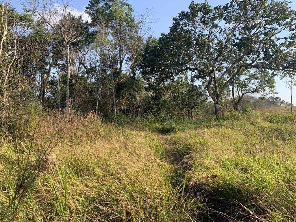 Sítio de 7 ha em São José dos Campos, SP