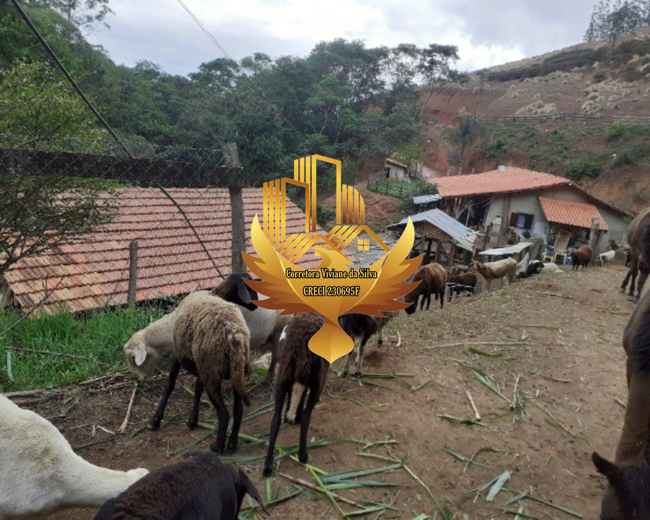 Sítio de 7 ha em Jambeiro, SP