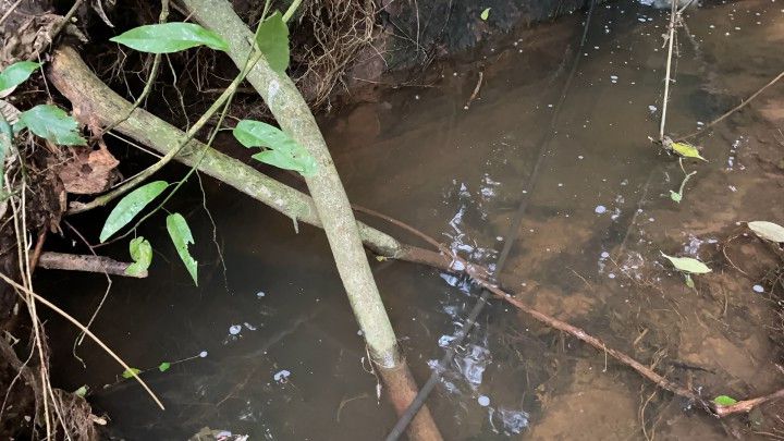 Chácara de 2.900 m² em Santo Antônio da Patrulha, RS