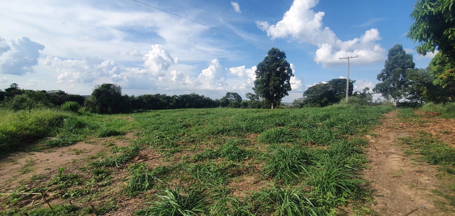 Fazenda de 19 ha em Itutinga, MG