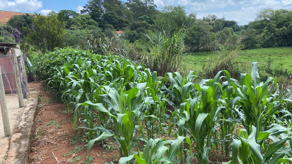 Sítio de 1 ha em São Gonçalo do Sapucaí, MG