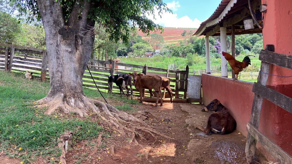 Sítio de 1 ha em São Gonçalo do Sapucaí, MG