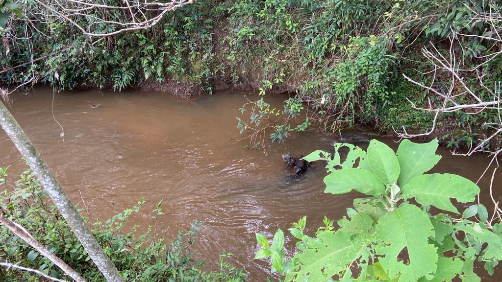 Sítio de 1 ha em São Gonçalo do Sapucaí, MG