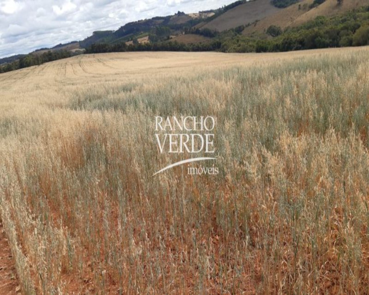 Fazenda de 63 ha em Turvolândia, MG