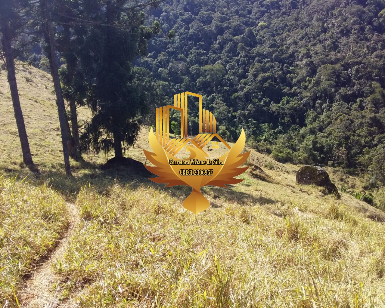 Terreno de 34 ha em São José dos Campos, SP