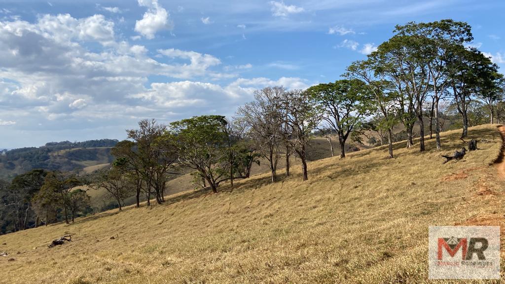 Fazenda de 87 ha em Estiva, MG