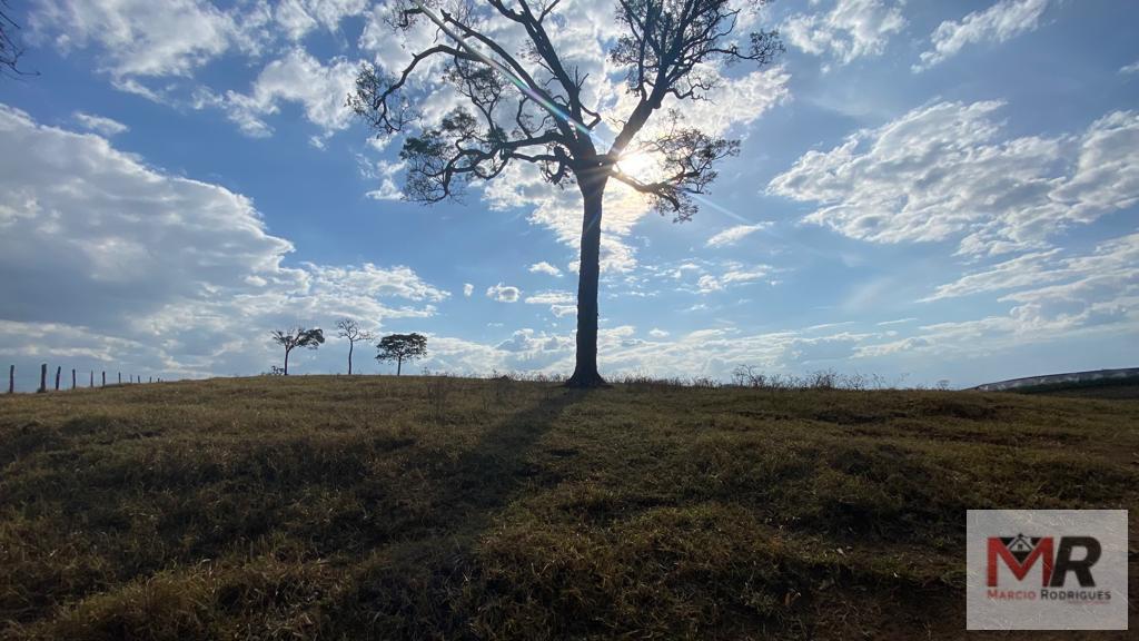 Fazenda de 87 ha em Estiva, MG