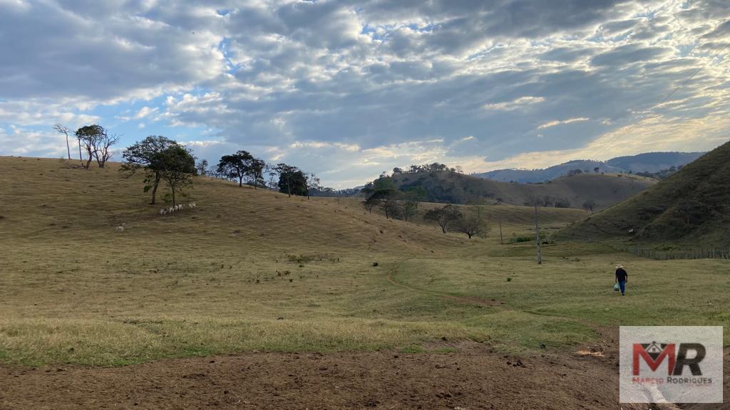 Fazenda de 87 ha em Estiva, MG