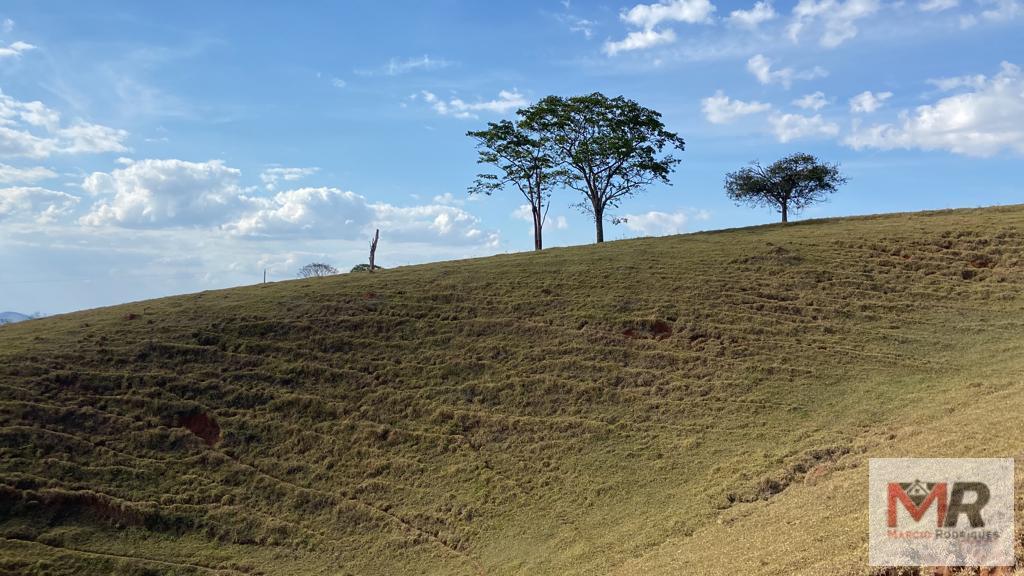 Fazenda de 87 ha em Estiva, MG