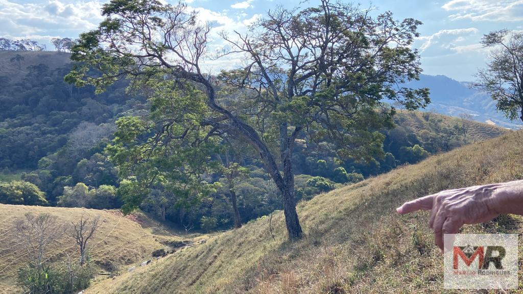 Fazenda de 87 ha em Estiva, MG