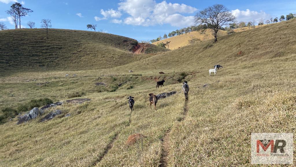 Fazenda de 87 ha em Estiva, MG