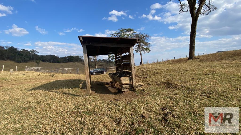 Fazenda de 87 ha em Estiva, MG