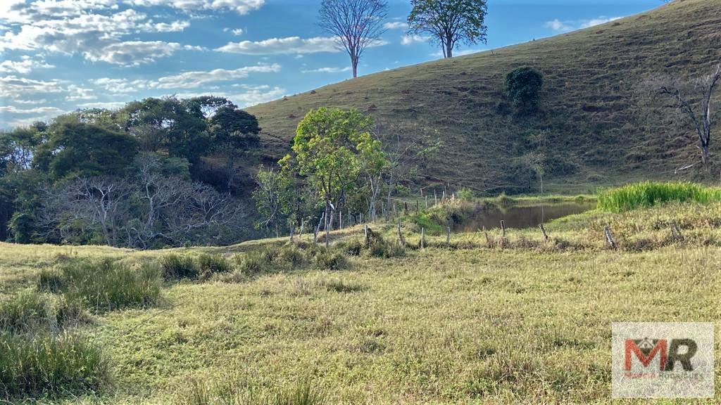 Fazenda de 87 ha em Estiva, MG