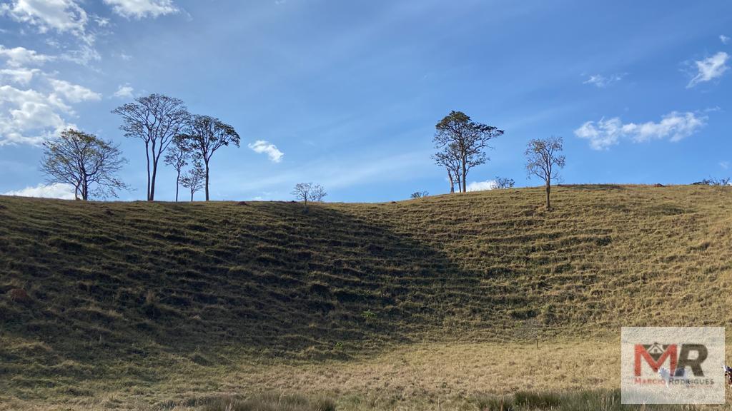 Fazenda de 87 ha em Estiva, MG