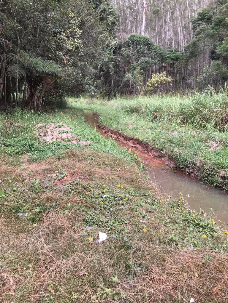 Sítio de 29 ha em Biritiba Mirim, SP