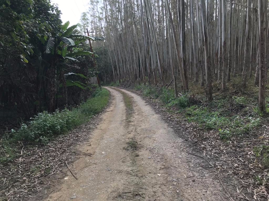 Sítio de 29 ha em Biritiba Mirim, SP