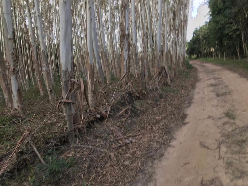 Sítio de 29 ha em Biritiba Mirim, SP