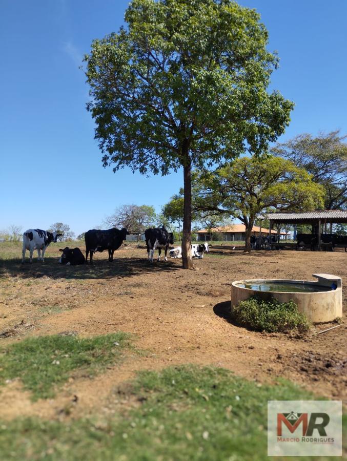 Fazenda de 20 ha em Abaeté, MG