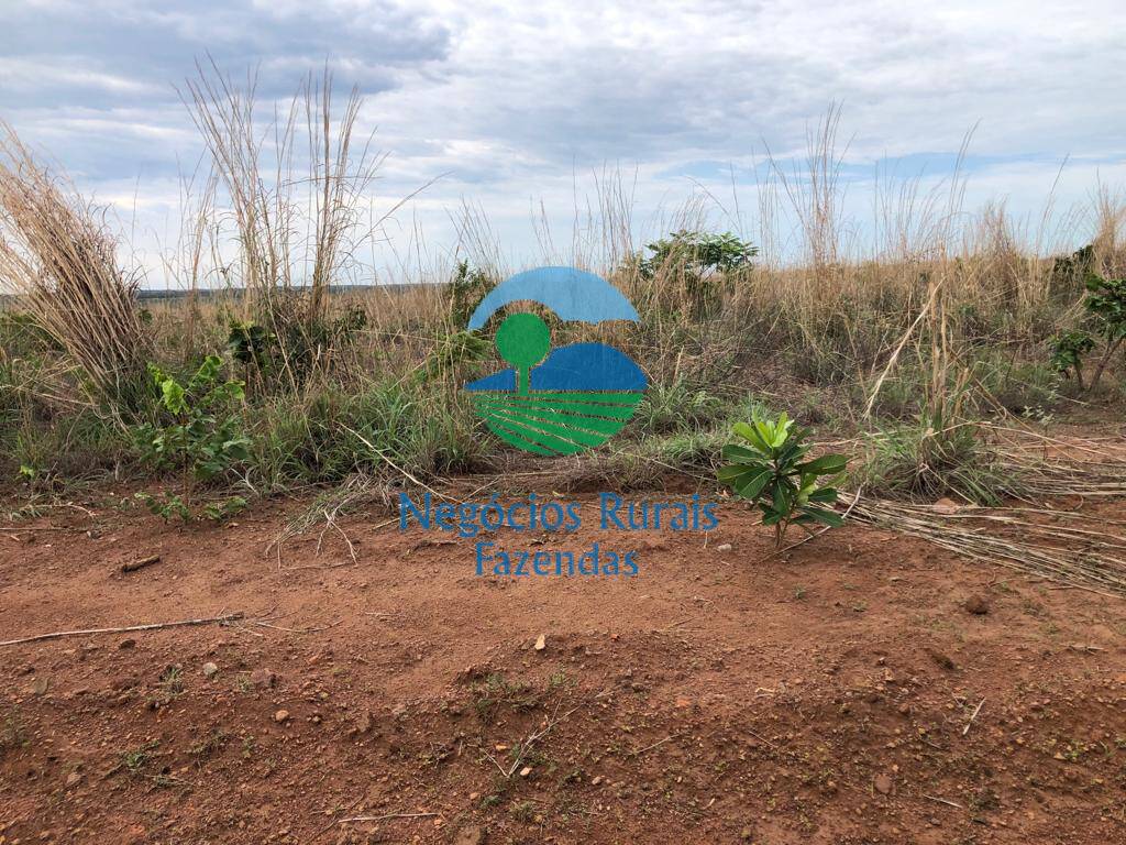 Fazenda de 1.026 ha em Jaú do Tocantins, TO