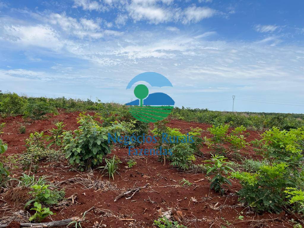 Fazenda de 1.026 ha em Jaú do Tocantins, TO