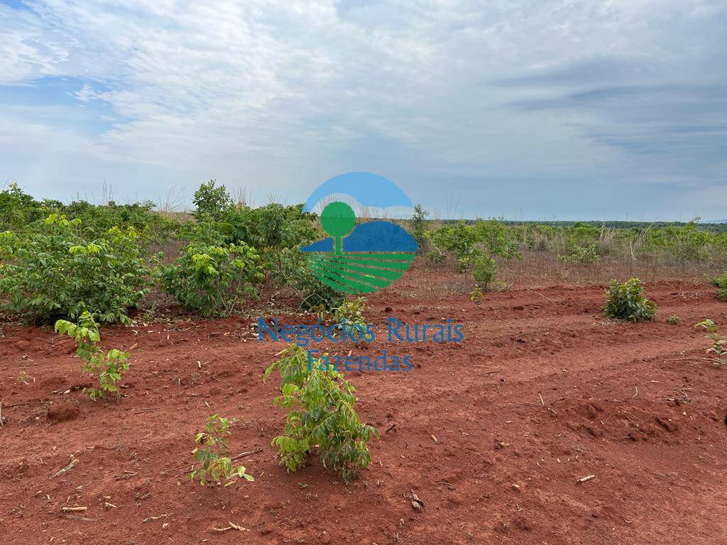 Fazenda de 1.026 ha em Jaú do Tocantins, TO