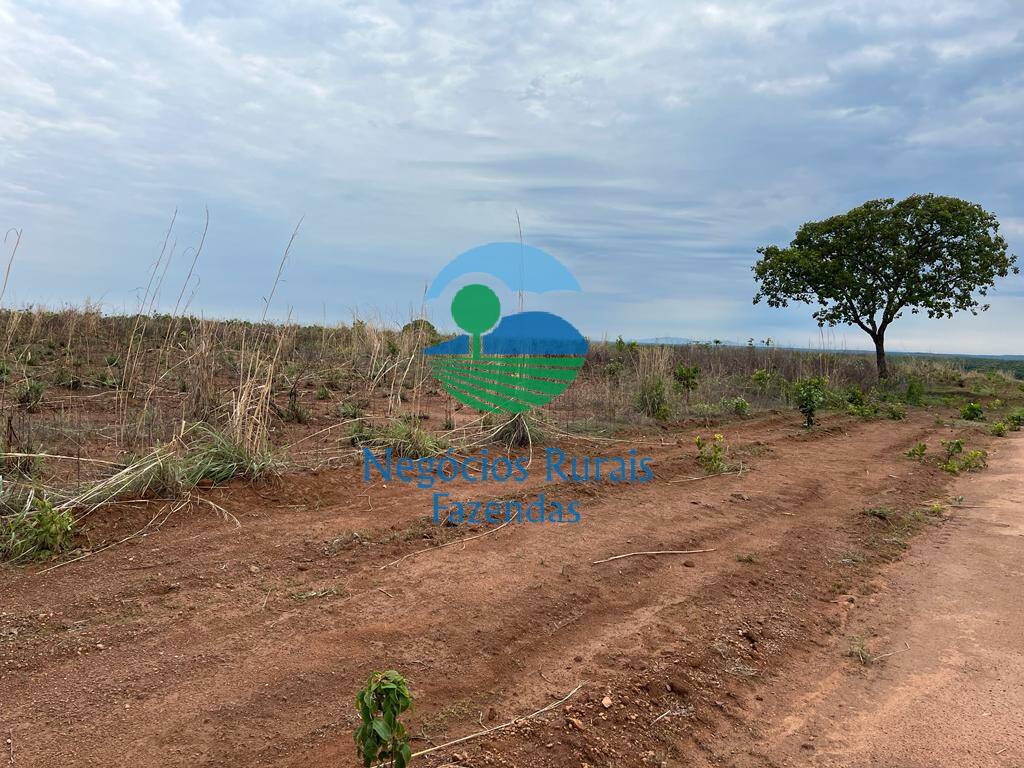 Fazenda de 1.026 ha em Jaú do Tocantins, TO