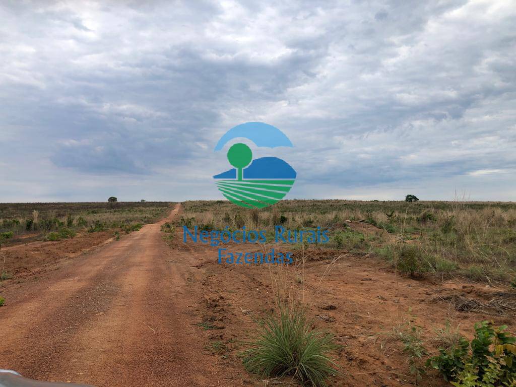 Fazenda de 1.026 ha em Jaú do Tocantins, TO