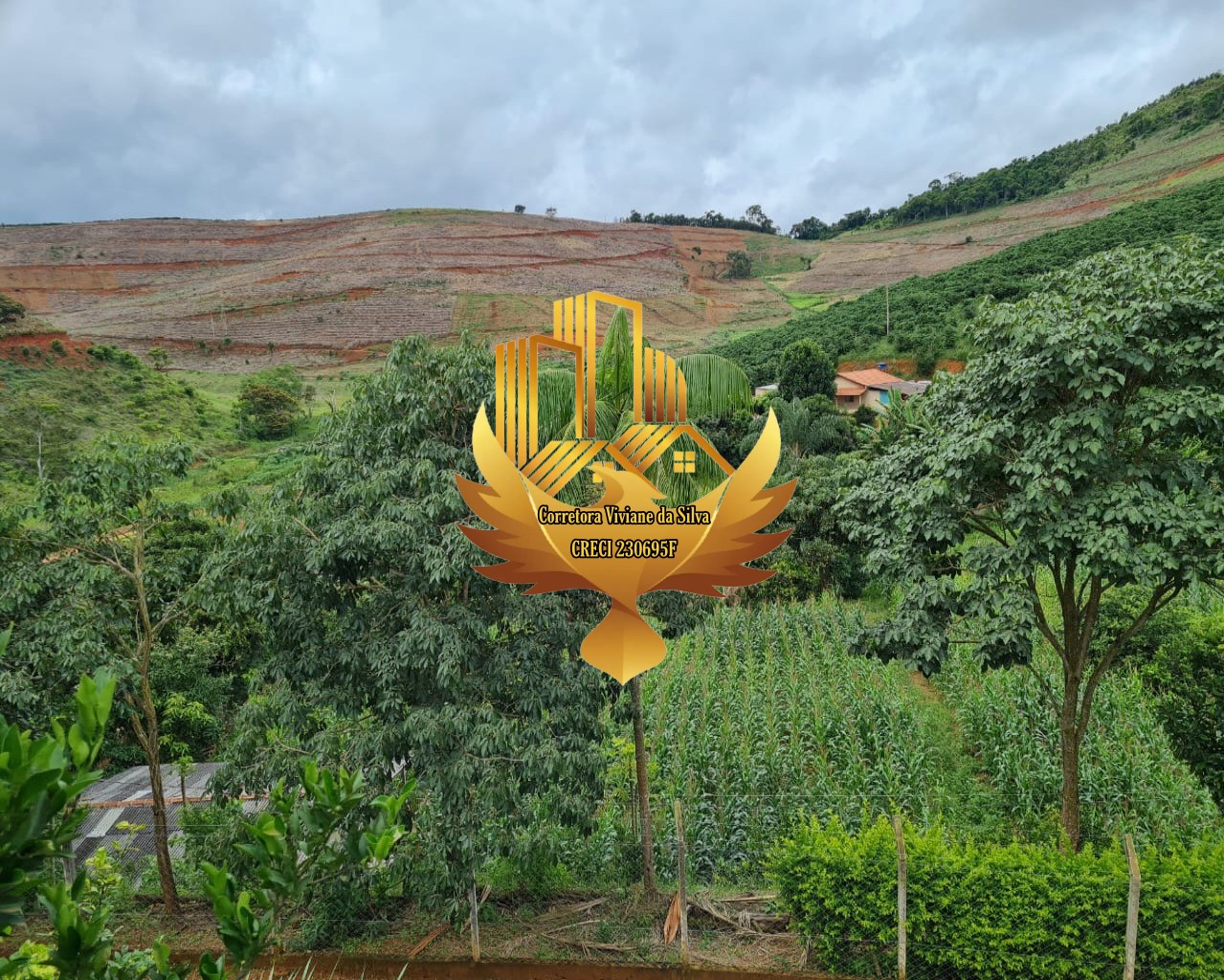 Chácara de 5.300 m² em Martins Soares, MG