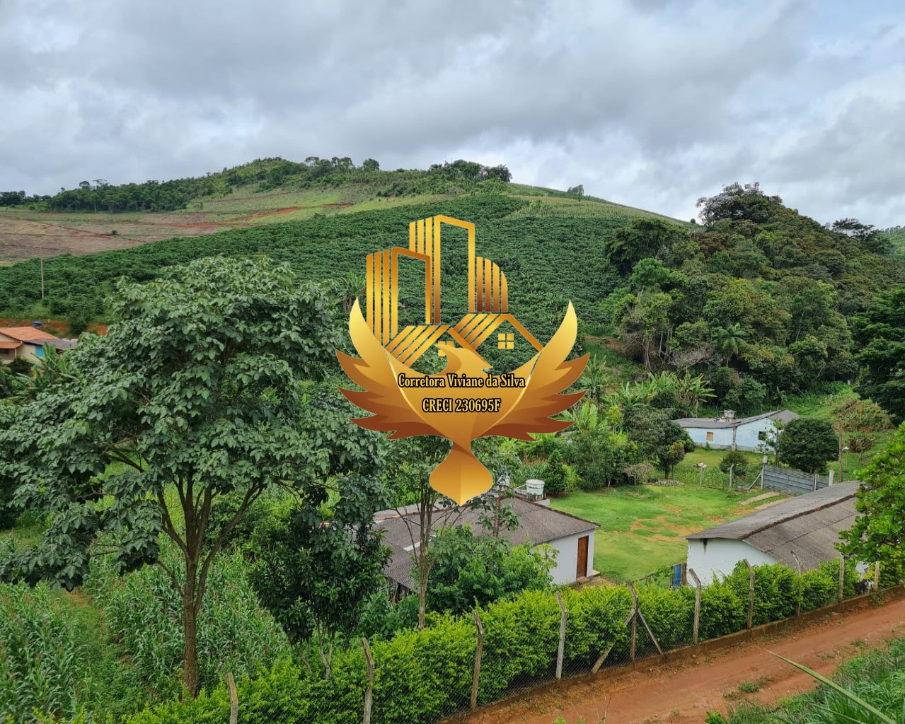 Chácara de 5.300 m² em Martins Soares, MG