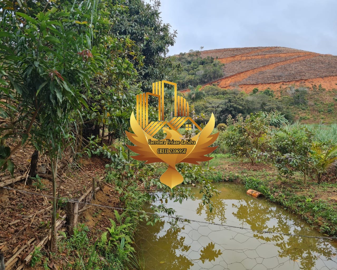 Chácara de 5.300 m² em Martins Soares, MG