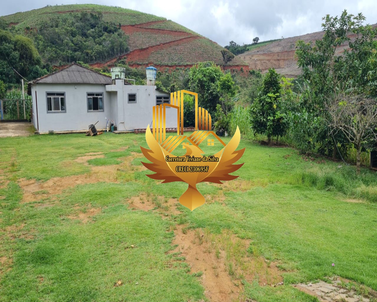 Chácara de 5.300 m² em Martins Soares, MG